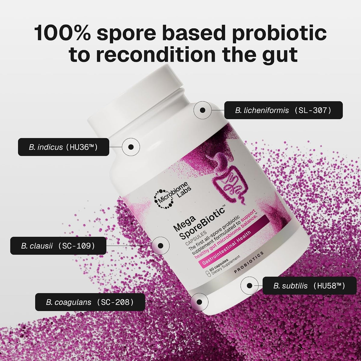 MegaSporeBiotic™